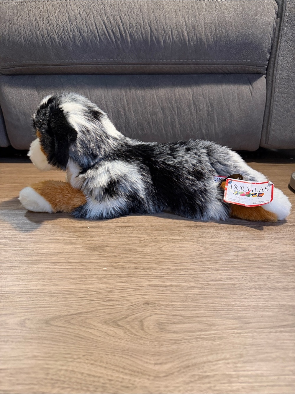 Maizie Australian Shepherd D-Lux Douglas Toy